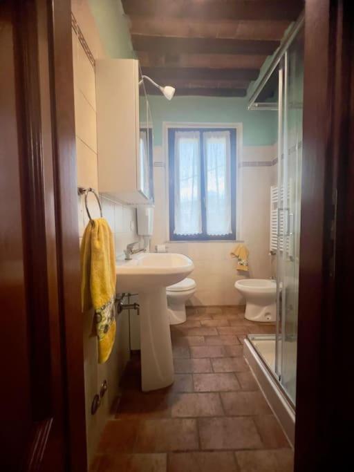 Appartamento Il Girasole Calcinaia Ngoại thất bức ảnh